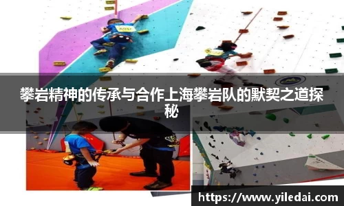 攀岩精神的传承与合作上海攀岩队的默契之道探秘