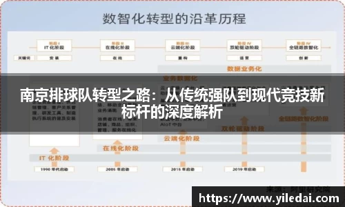 南京排球队转型之路：从传统强队到现代竞技新标杆的深度解析
