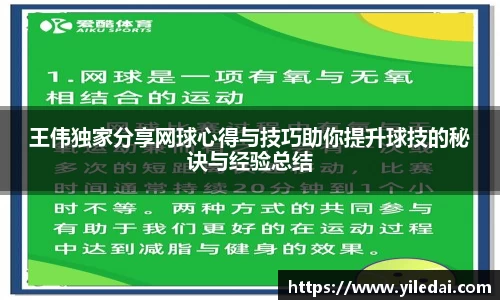 王伟独家分享网球心得与技巧助你提升球技的秘诀与经验总结