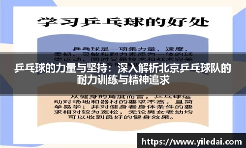 乒乓球的力量与坚持：深入解析北京乒乓球队的耐力训练与精神追求